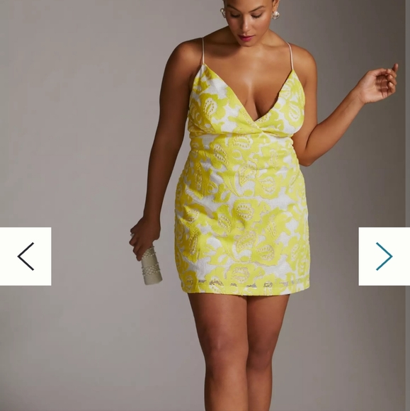 Anthropologie Maeve Strappy Lace Mini Dress - Picture 8 of 16